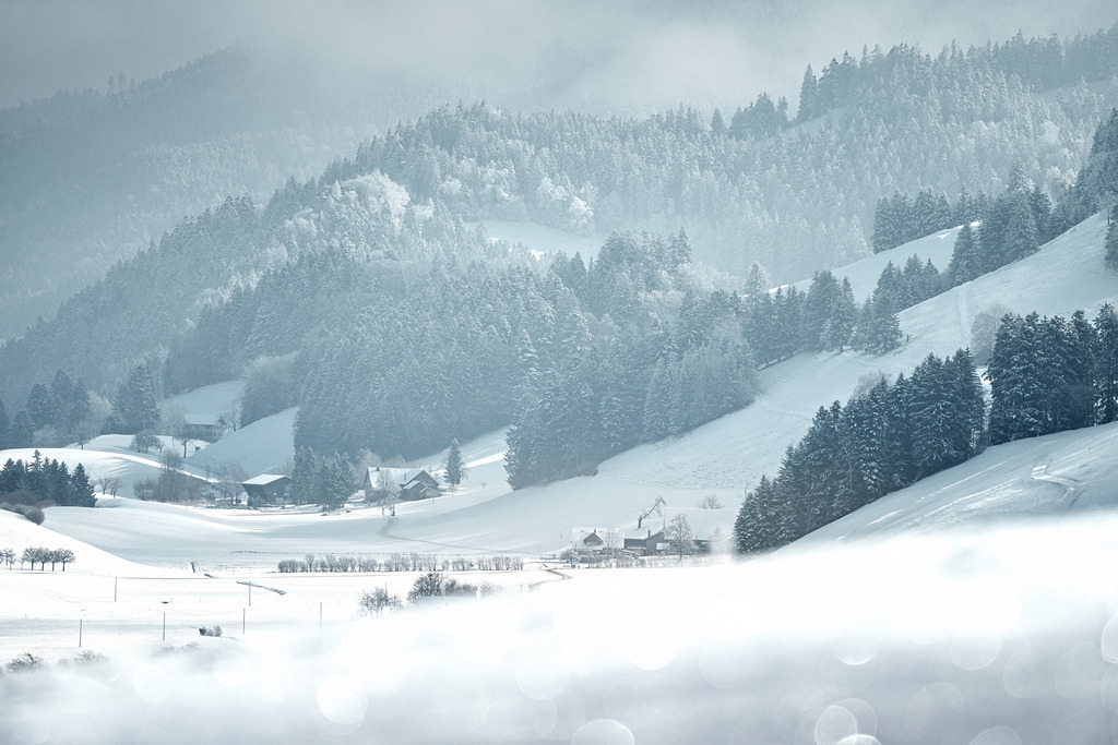 Diamanten im Winter | Der Nebel hebt sich durch die Sonne getrieben und lässt die Natur im Licht glitzern. - Realisiert mit Pictrs.com