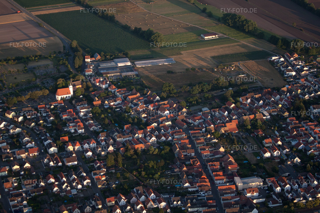 Luftbild: Ortsansicht der Straßen und Häuser der Wohngebiete im Ortsteil Iggelheim in Böhl-Iggelheim im Bundesland Rheinland-Pfalz in Deutschland. Foto: IMG_69352.jpg vom 04.07.2014 durch Werner Riehm/FLY-FOTO.de