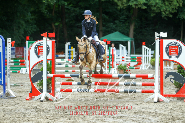 DKP44809 | Turniersportfotografie; Pferdefotografie; Dressurfotografie