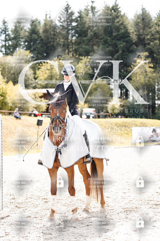 CK901001 | Turnierfotografie Pferdefotografie Trier Rheinland-Pfalz Pferdesport Reitsport Tierfotografie Sportfotografie Pferdevideo Pferdevideografie Equestrianvideography equestrianphotography  - Realisiert mit Pictrs.com