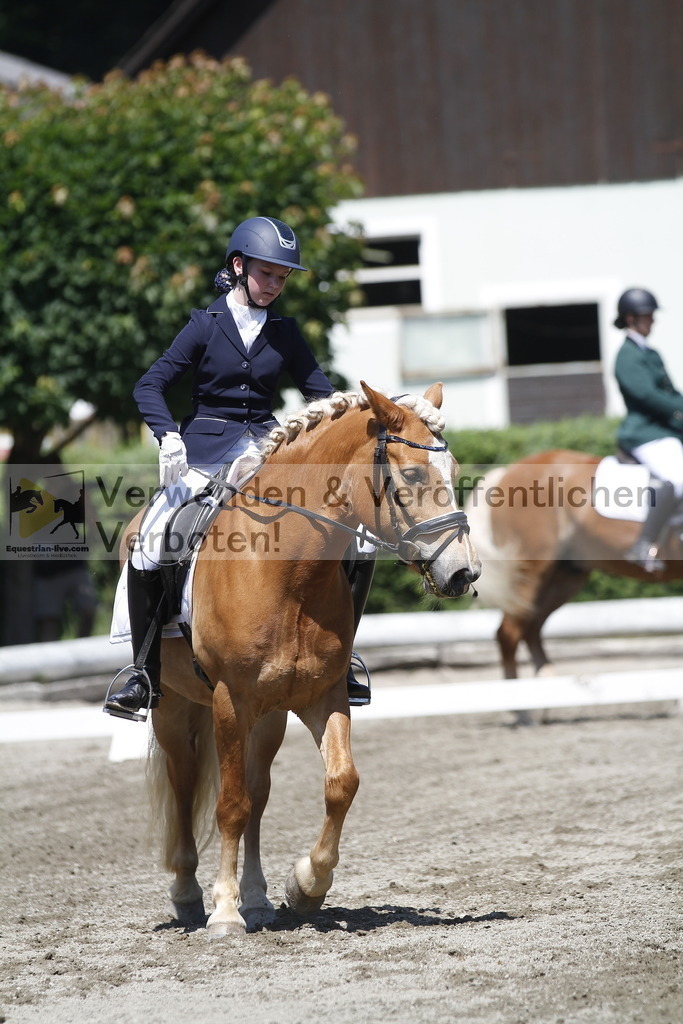 _MG_3915 | equestrian-live-com