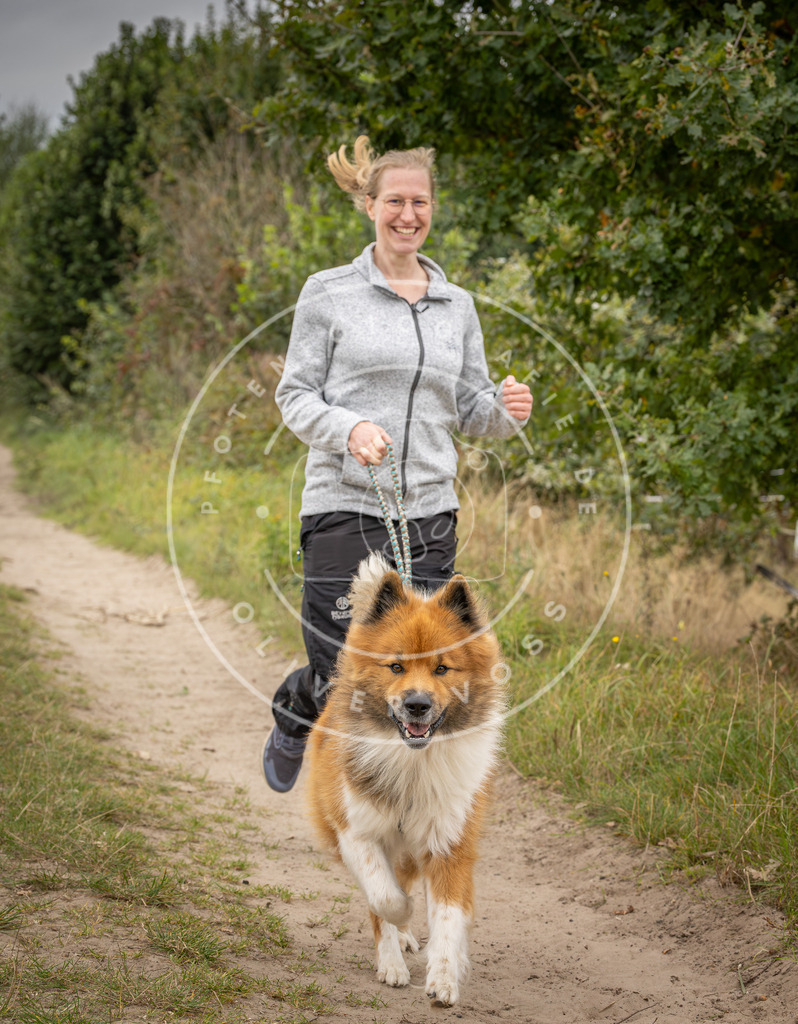Pfotenfotografie_DV3A7211 | Hundefotografie, Tierfotograf, Pfotenfotografie, Fotoshooting Hund, Hunde Portrait, Hundesport, Hundeportraits, Heideshooting, Hunde, Sportfotograf, Hundefotograf, Turnierhundsport, THS,  - Realisiert mit Pictrs.com
