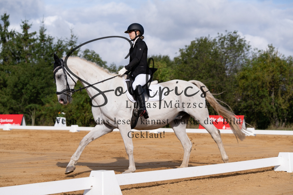 A7V05141 | Pferdefotograf