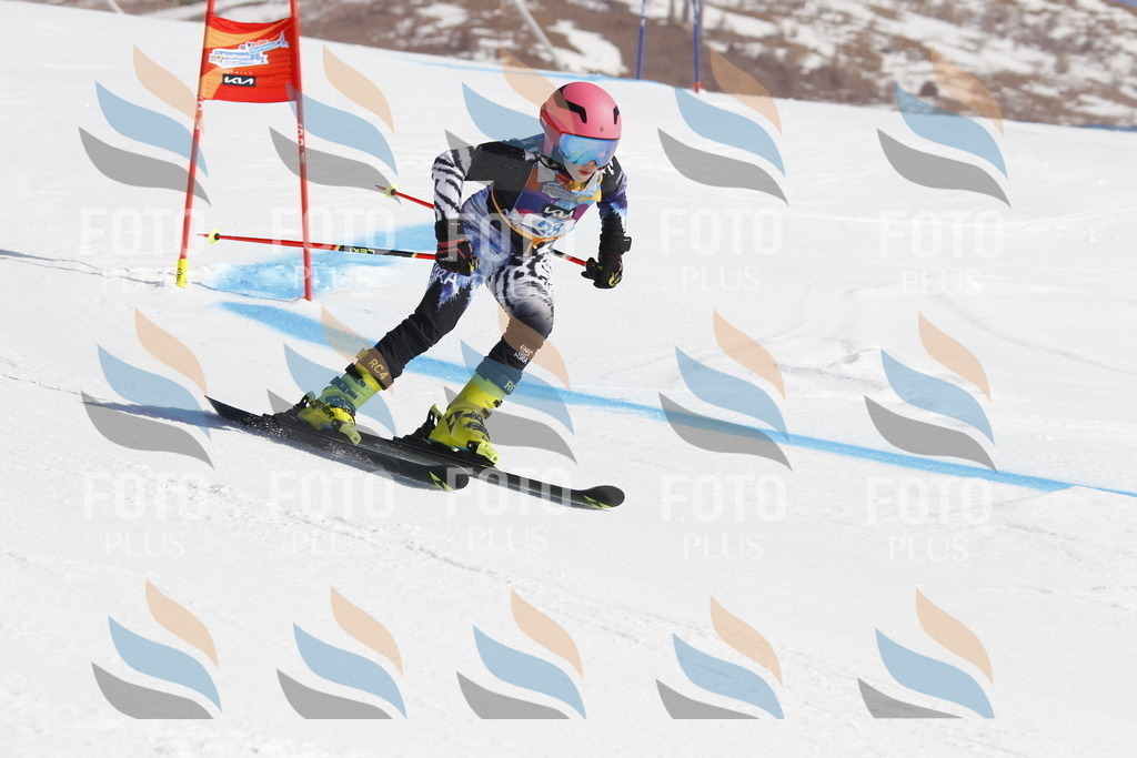 _U3G9005 | holidayphoto