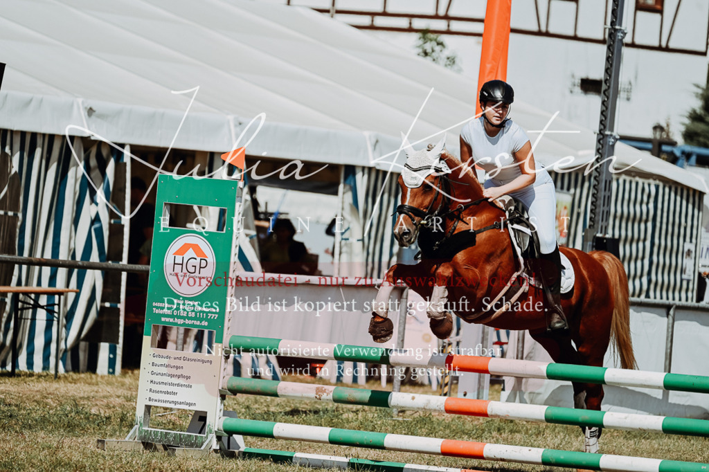 DSC_0025 | Pferde- und Turnierfotografie in Westsachsen. Pferdeportraits, Auftragszeichnungen und intuitive Kunst.