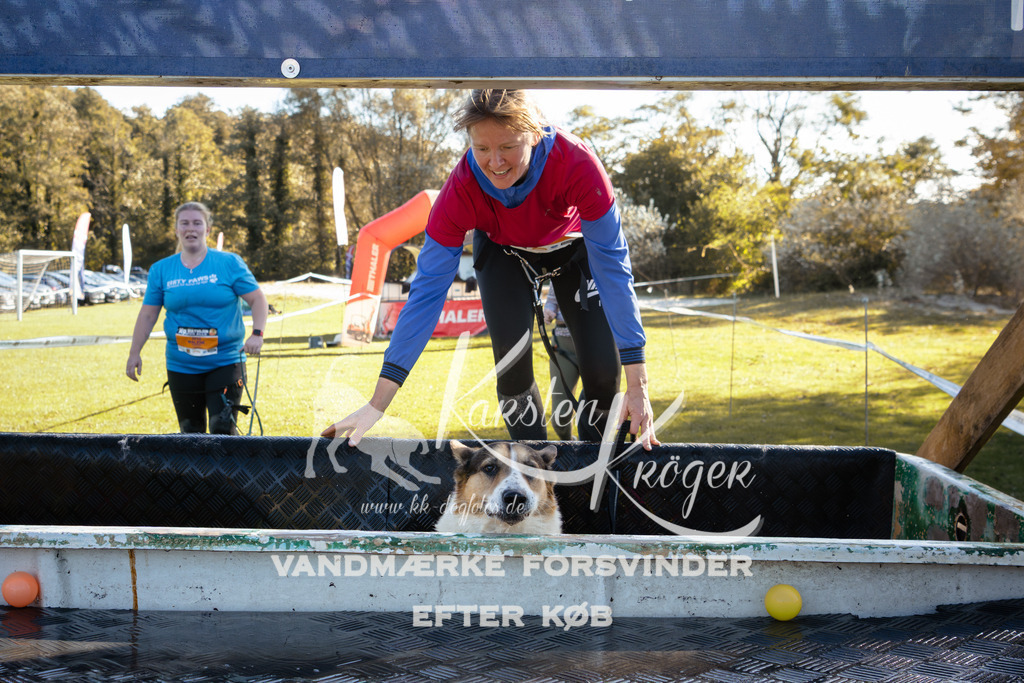 1207_ZZ94684 | kk-dogfotos