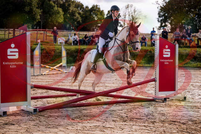 2026_10_03_Siefer-Hof_144218_Z81_14953572 | Professionelle Reitsport-, Turnier- und Eventfotografie von Robert Broda. Galerien mit ausgewählten und bearbeiteten Bildern direkt online ansehen und bestellen.