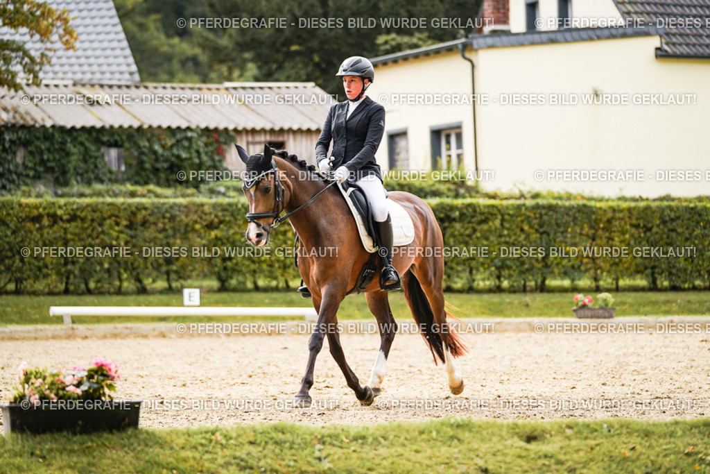 DSC01122 | Pferdegrafie