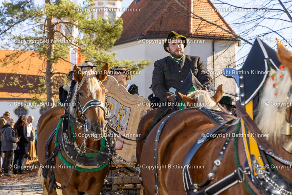 LBT25-1132 | foto-bettina-krinner - Realisiert mit Pictrs.com