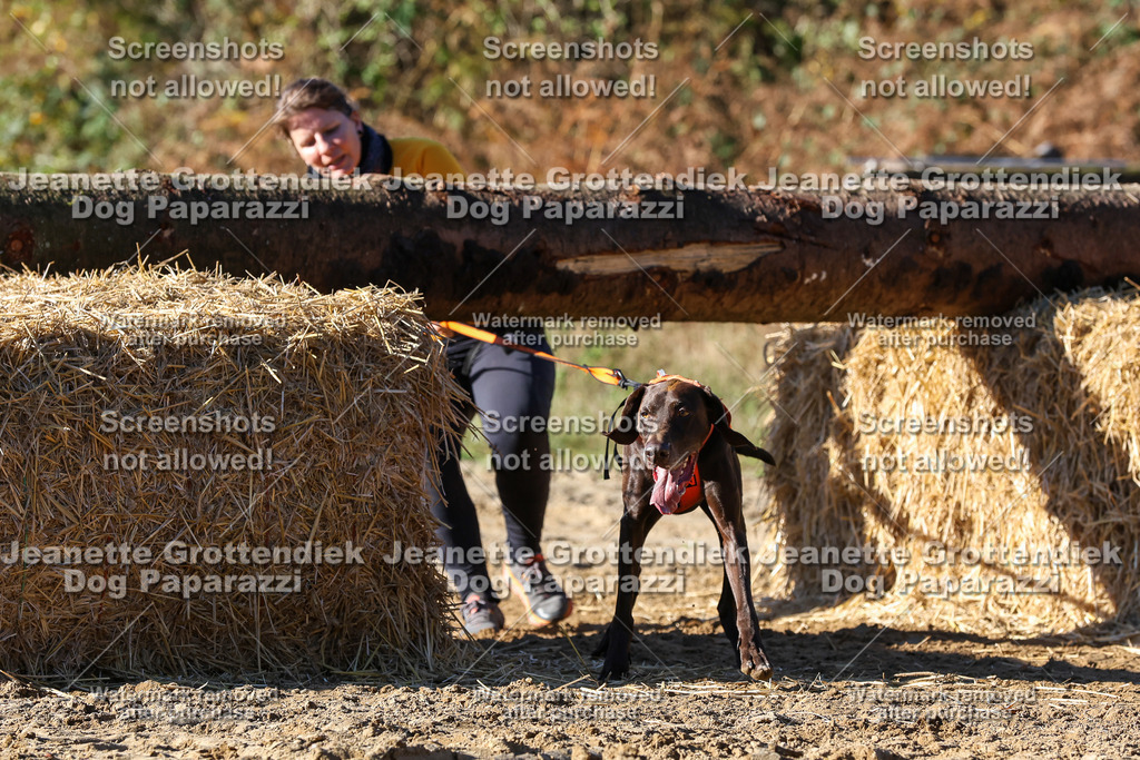 Dog Paparazzi - Strongdog 10-25-2285 | Dog Paparazzi Jeanette Grottendiek Fotografie & Videografie - Realisiert mit Pictrs.com