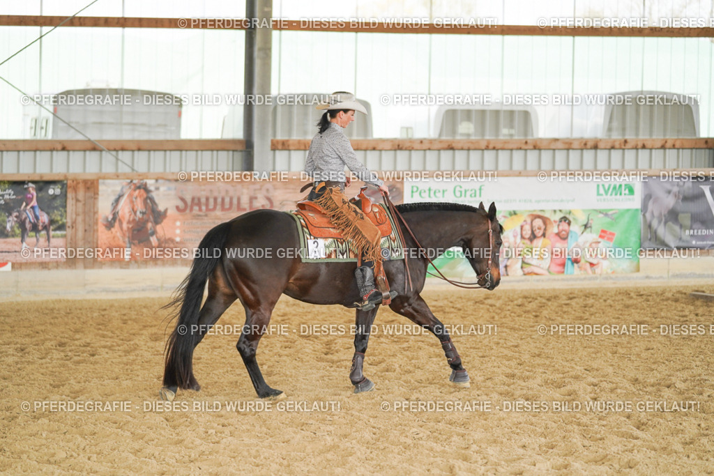 DSC02187 | Pferdegrafie