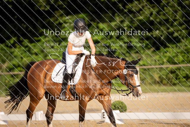 SD_Verl_06985 | saradresslerfotografie - Realisiert mit Pictrs.com