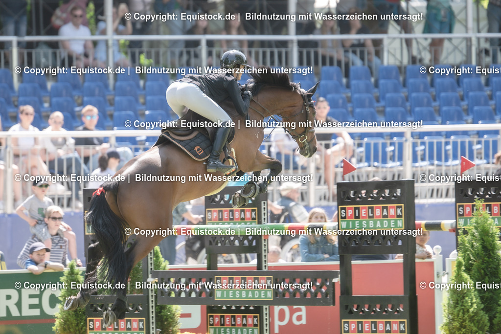 20230527_12_CSI4_Pfungstädter_0009 | equistock