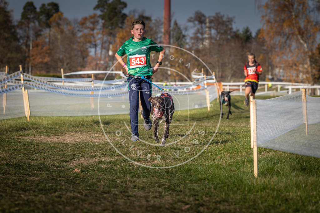 CaniXpix_0L8A8978 | Hundefotografie, Tierfotograf, Pfotenfotografie, Fotoshooting Hund, Hunde Portrait, Hundesport, Hundeportraits, Heideshooting, Hunde, Sportfotograf, Hundefotograf, Turnierhundsport, THS,  - Realisiert mit Pictrs.com