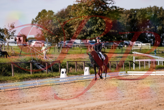 2026_10_03_Siefer-Hof_115626_Z81_97371879 | Professionelle Reitsport-, Turnier- und Eventfotografie von Robert Broda. Galerien mit ausgewählten und bearbeiteten Bildern direkt online ansehen und bestellen.