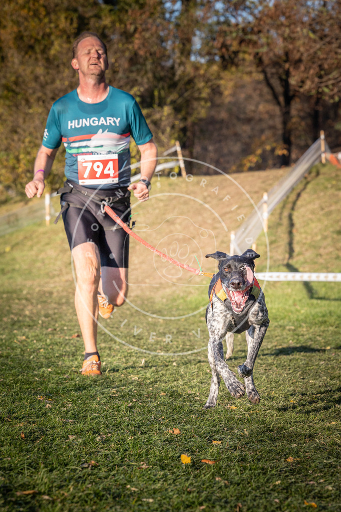 CaniXpix_0L8A0319 | Hundefotografie, Tierfotograf, Pfotenfotografie, Fotoshooting Hund, Hunde Portrait, Hundesport, Hundeportraits, Heideshooting, Hunde, Sportfotograf, Hundefotograf, Turnierhundsport, THS,  - Realisiert mit Pictrs.com