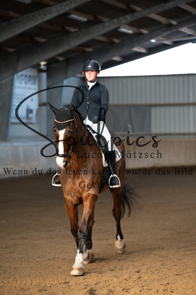 A7V05710 | Pferdefotograf