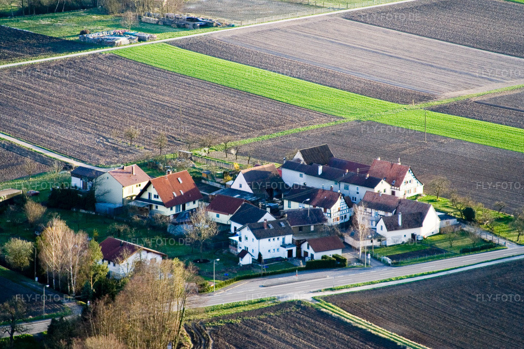 Luftbild: Welschhof in Freckenfeld im Bundesland Rheinland-Pfalz in Deutschland. Foto: IMG_9853.jpg vom 18.03.2008 durch Werner Riehm/FLY-FOTO.de
