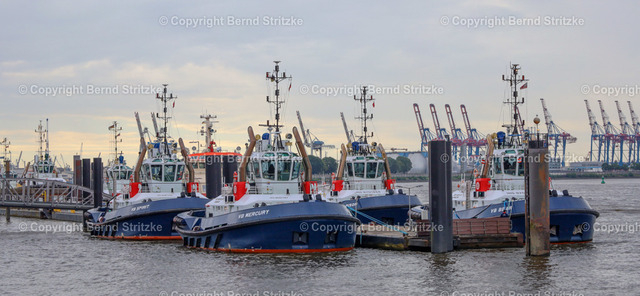 IMG_1386 | Hamburg Tagestour 16. Juni 2024 - Realisiert mit Pictrs.com