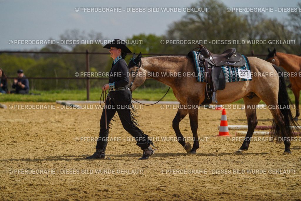 DSC04251 | Pferdegrafie