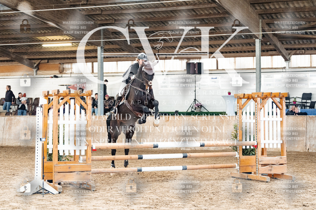 CK904160 | Turnierfotografie Pferdefotografie Trier Rheinland-Pfalz Pferdesport Reitsport Tierfotografie Sportfotografie Pferdevideo Pferdevideografie Equestrianvideography equestrianphotography  - Realisiert mit Pictrs.com