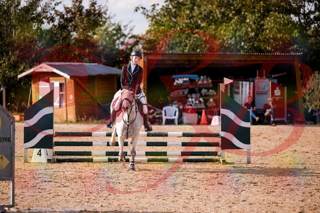 2026_10_03_Siefer-Hof_155137_Z81_70561122 | Professionelle Reitsport-, Turnier- und Eventfotografie von Robert Broda. Galerien mit ausgewählten und bearbeiteten Bildern direkt online ansehen und bestellen.