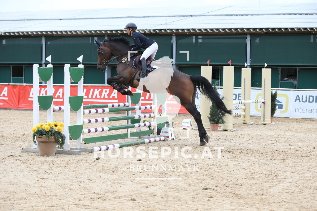 DL2Q5341 | Willkommen bei Brunnmayr - Design & Fotografie – Ihrem Spezialisten für Reitturniere und Pferdeveranstaltungen in Oberösterreich, Salzburg und Bayern! Seit über 17 Jahren sind wir leidenschaftlich dabei.