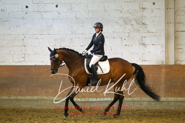 DKP43617 | Turniersportfotografie; Pferdefotografie; Dressurfotografie