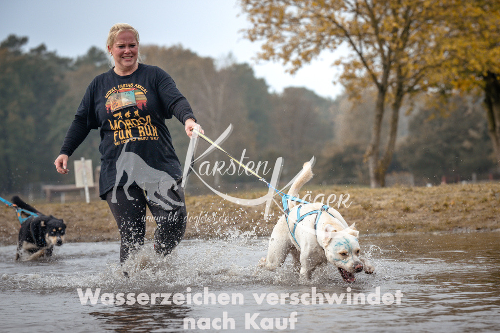 1114_ZZ93374 | kk-dogfotos