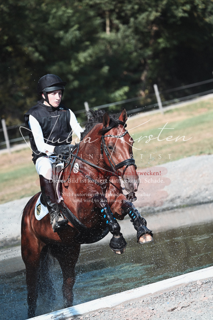 DSC_8728 | Pferde- und Turnierfotografie in Westsachsen. Pferdeportraits, Auftragszeichnungen und intuitive Kunst.