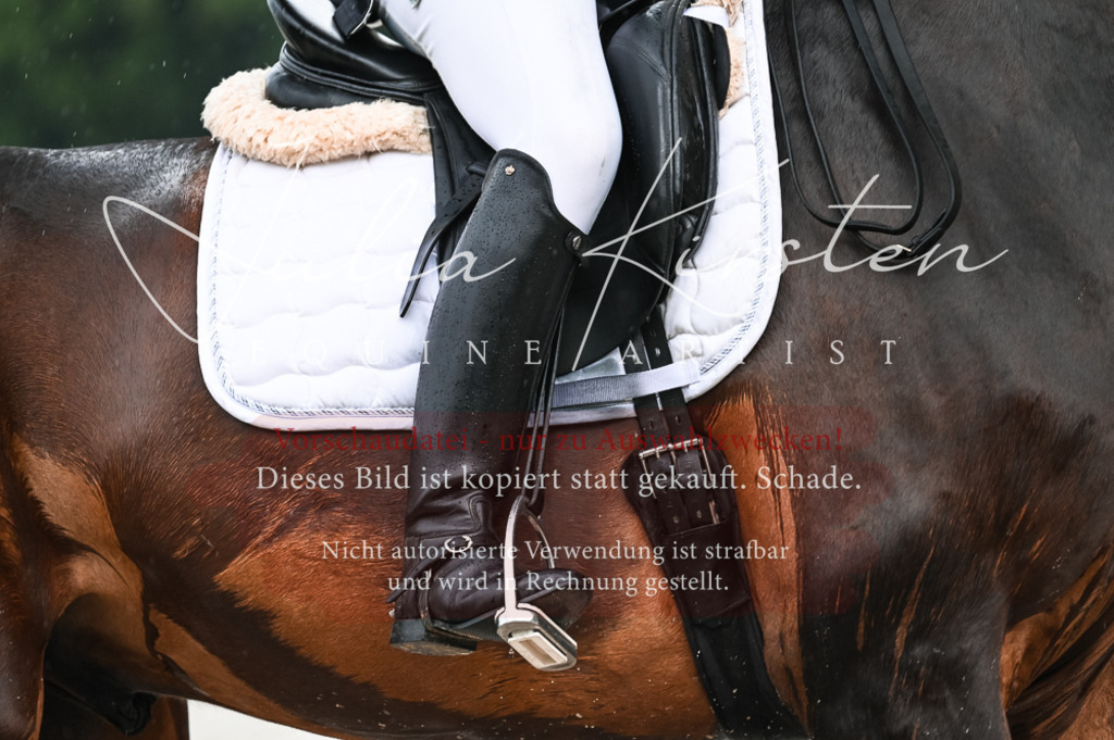 DSC_4172 | Pferde- und Turnierfotografie in Westsachsen. Pferdeportraits, Auftragszeichnungen und intuitive Kunst.
