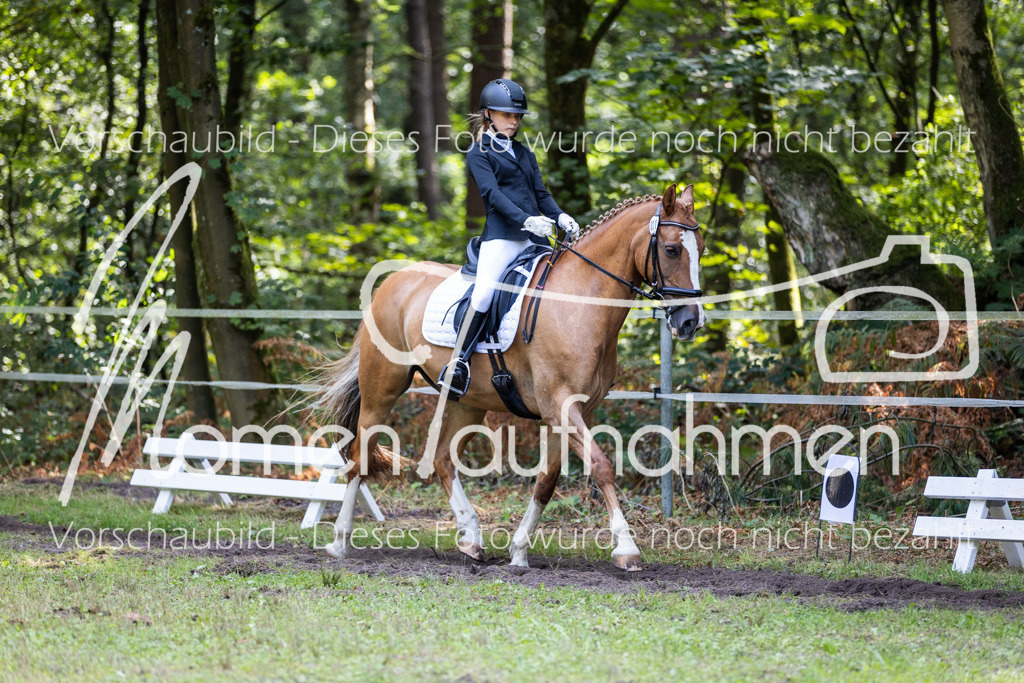 HB-Dressur-WB-122 | MomenTaufnahmen Pferdesportfotos