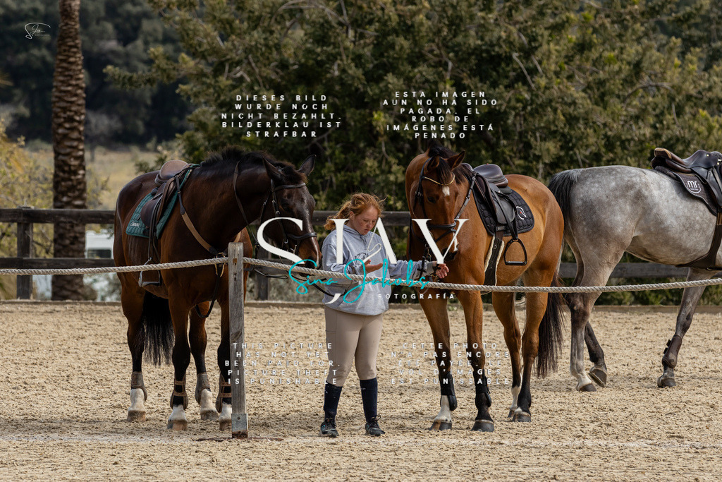 IMG_3479 | s-jay-photography - Realisiert mit Pictrs.com