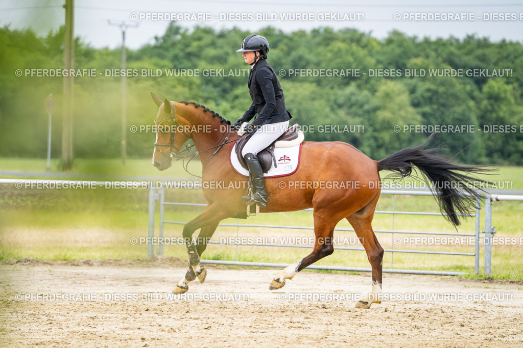 DSC02678 | Pferdegrafie