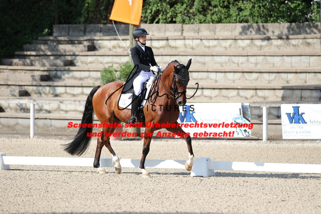 IMG_9117 | lmwpictures - Realisiert mit Pictrs.com