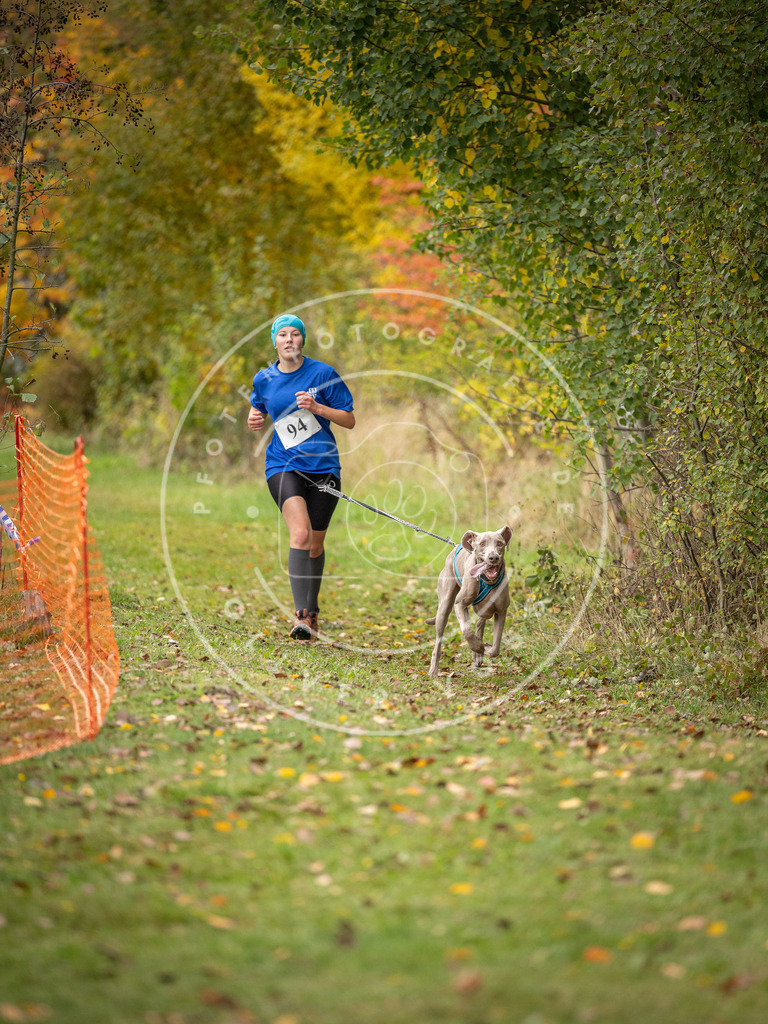 Pfotenfotografie_DV3A3290 | Hundefotografie, Tierfotograf, Pfotenfotografie, Fotoshooting Hund, Hunde Portrait, Hundesport, Hundeportraits, Heideshooting, Hunde, Sportfotograf, Hundefotograf, Turnierhundsport, THS,  - Realisiert mit Pictrs.com