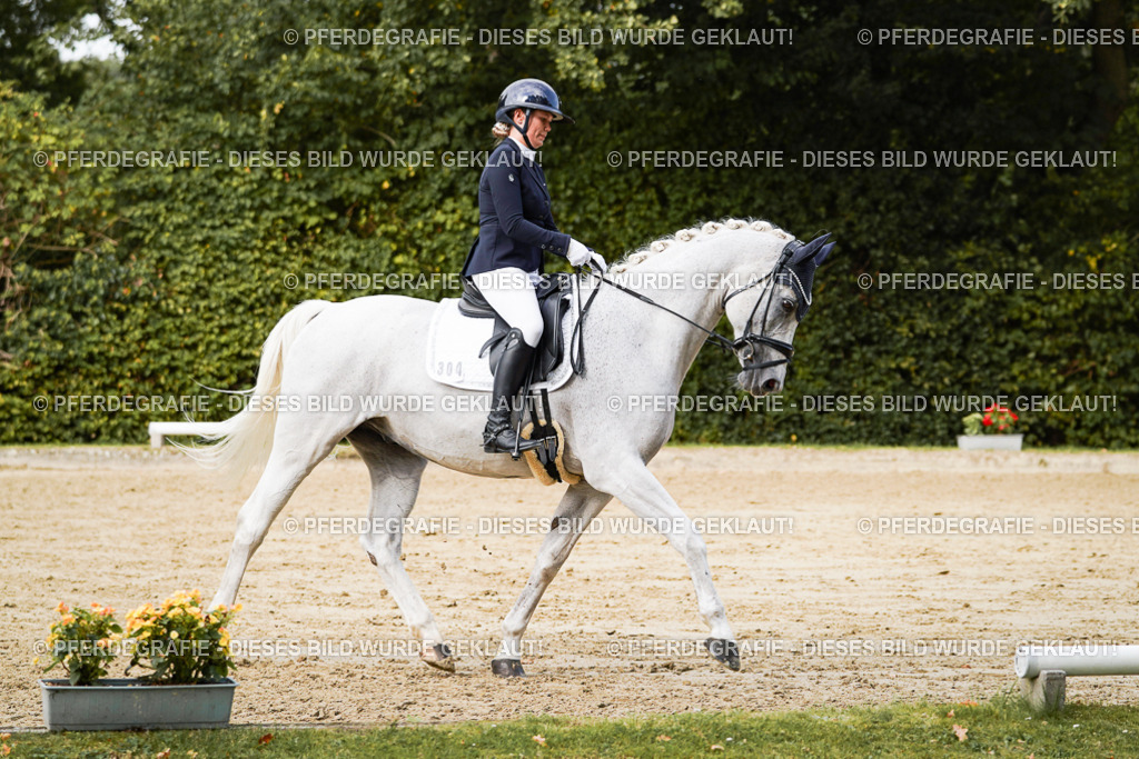 DSC02805 | Pferdegrafie