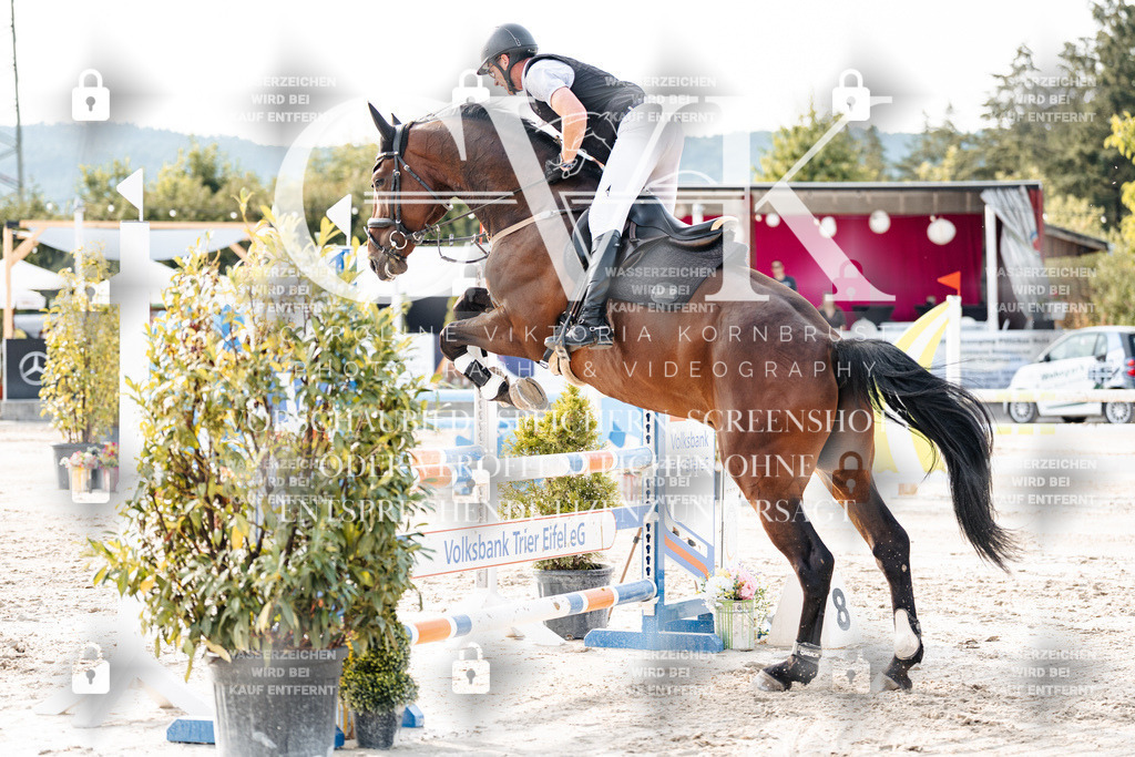 CK906536 | Turnierfotografie Pferdefotografie Trier Rheinland-Pfalz Pferdesport Reitsport Tierfotografie Sportfotografie Pferdevideo Pferdevideografie Equestrianvideography equestrianphotography  - Realisiert mit Pictrs.com