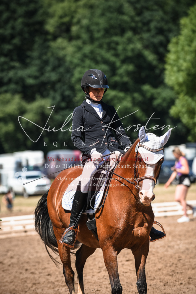 DSC_3148 | Pferde- und Turnierfotografie in Westsachsen. Pferdeportraits, Auftragszeichnungen und intuitive Kunst.