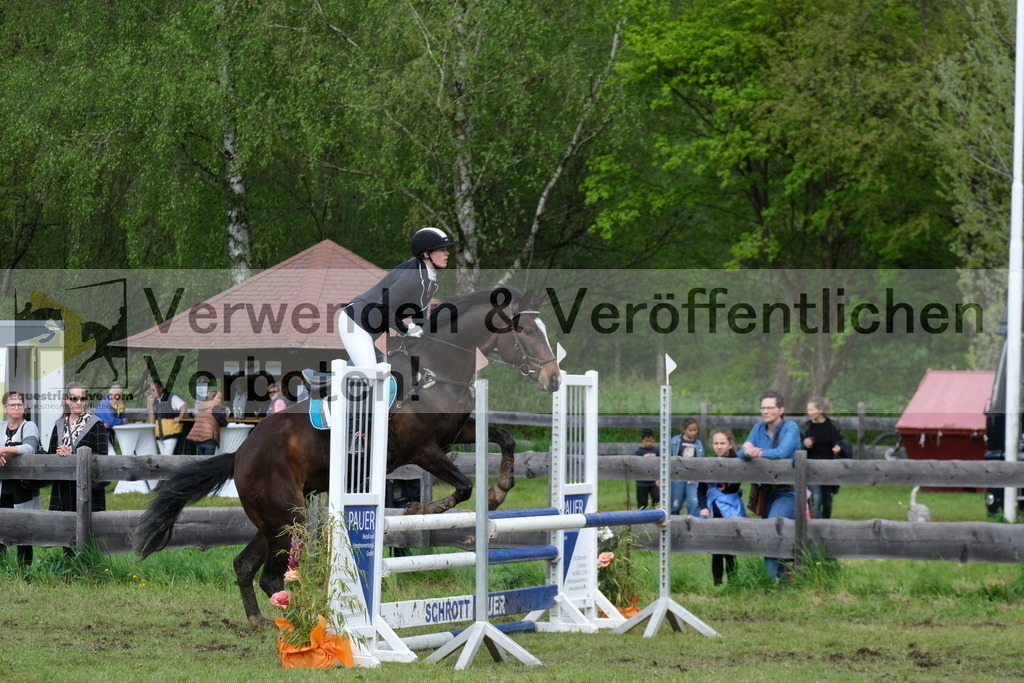 DSCF8220 | equestrian-live-com