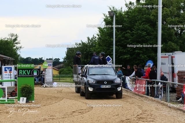 OHT0541 | Fotografie, Tiere, Hunde, Katzen, Pferde, Sportfotografie, Fotosession, Tierfotografie, Turnierfotografie, Fotografin, Fotograf - Realisiert mit Pictrs.com