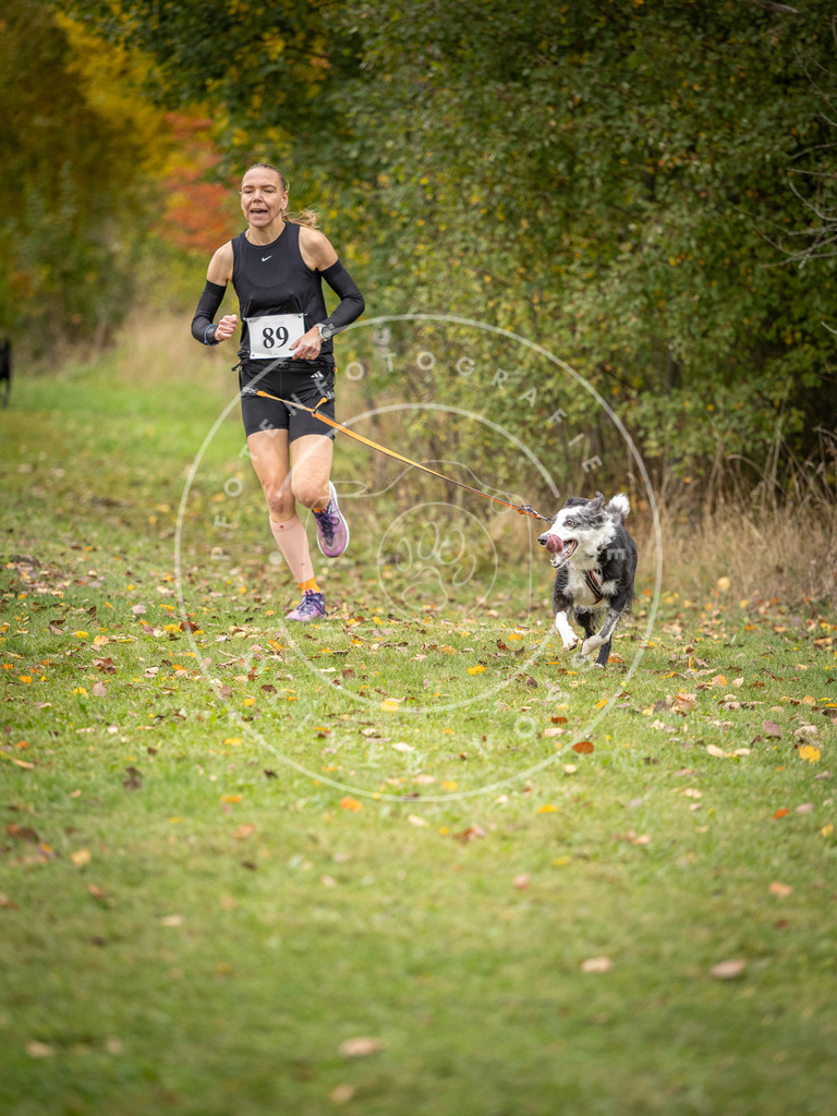 Pfotenfotografie_DV3A3177 | Hundefotografie, Tierfotograf, Pfotenfotografie, Fotoshooting Hund, Hunde Portrait, Hundesport, Hundeportraits, Heideshooting, Hunde, Sportfotograf, Hundefotograf, Turnierhundsport, THS,  - Realisiert mit Pictrs.com