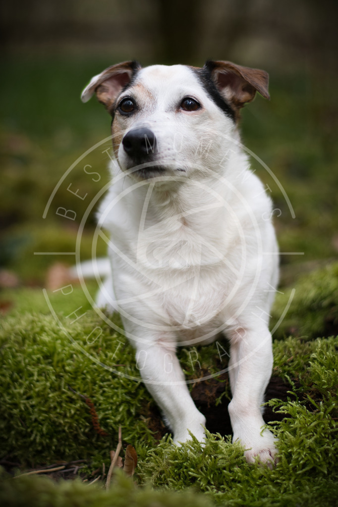 DSC_2214 | best-moments-photography - Realisiert mit Pictrs.com