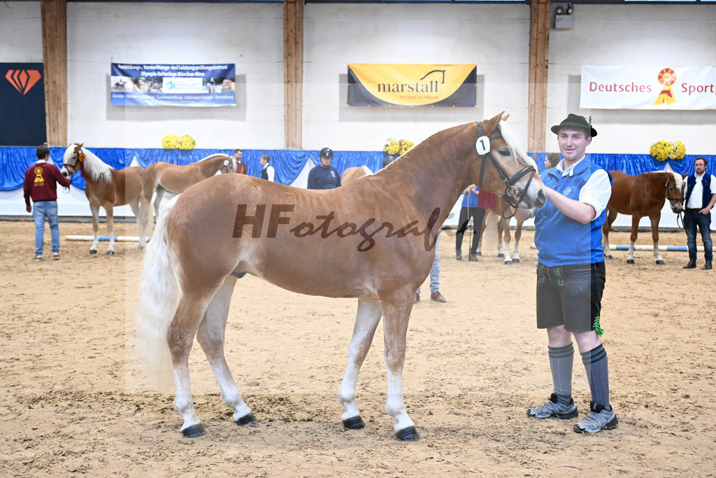 Kat-Nr. 1 Akito v. Ace of Hearts_Oswald_48254168 | hf-fotografie - Realisiert mit Pictrs.com