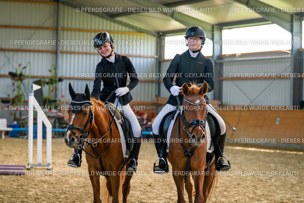 DSC01553 | Pferdegrafie