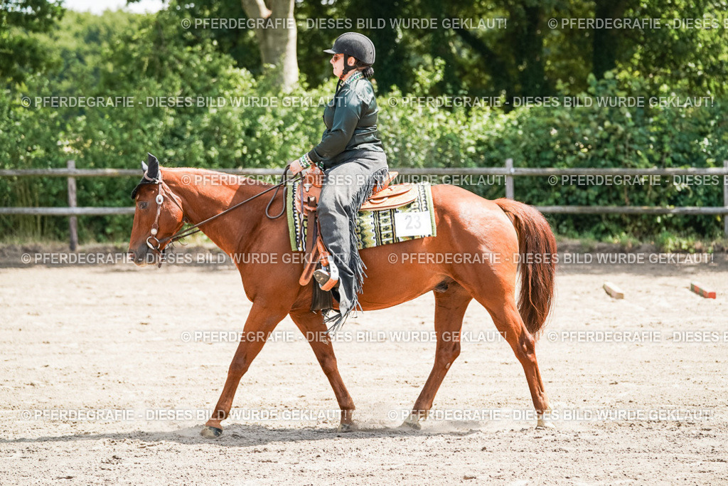 DSC06488 | Pferdegrafie