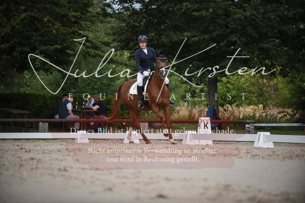 DSC_8367 | Pferde- und Turnierfotografie in Westsachsen. Pferdeportraits, Auftragszeichnungen und intuitive Kunst.