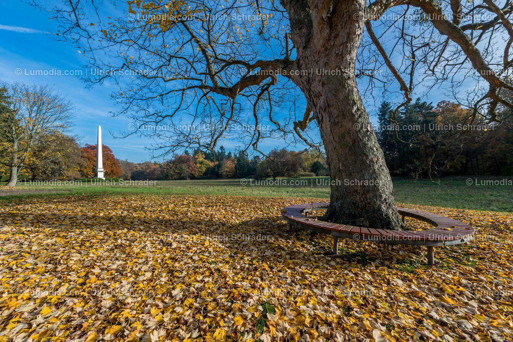 10049-4606 - Landschaftspark Degenershausen | Stockfoto und Bilderpool mit Bildmaterial aus Deutschland, dem Harz, Halberstadt, Quedlinburg, Wernigerode und weltweit. Qualitativ hochwertige und professionelle Fotos anschauen und kaufen. - Realisiert mit Pictrs.com