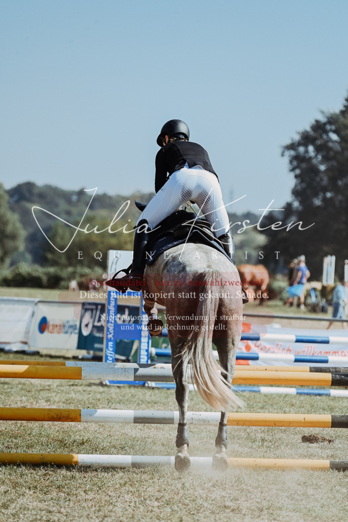 DSC_9488 | Pferde- und Turnierfotografie in Westsachsen. Pferdeportraits, Auftragszeichnungen und intuitive Kunst.