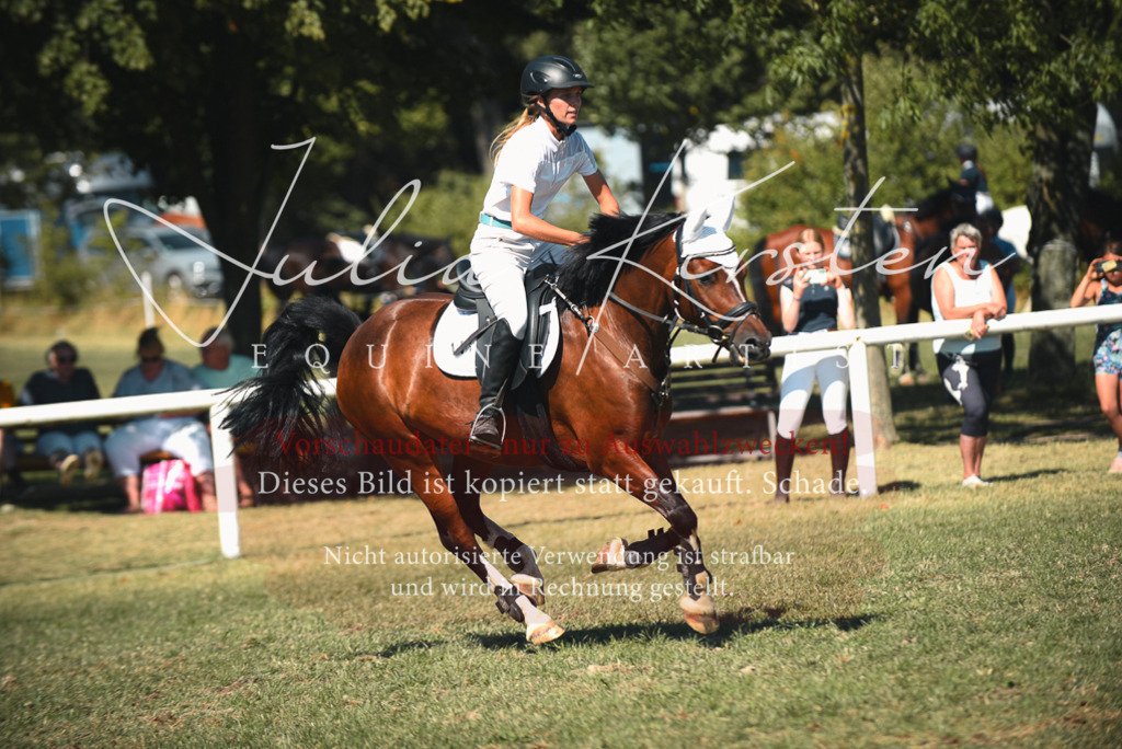 DSC_7282 | Pferde- und Turnierfotografie in Westsachsen. Pferdeportraits, Auftragszeichnungen und intuitive Kunst.